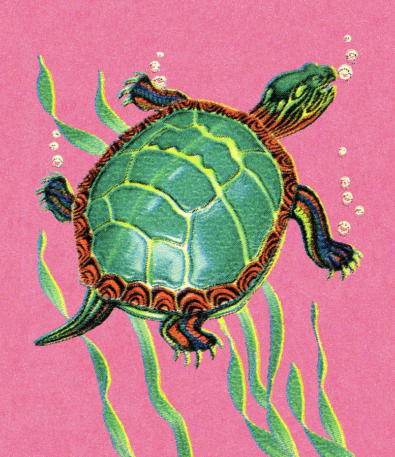 Turtle Drawing - Turtle #24 by CSA Images