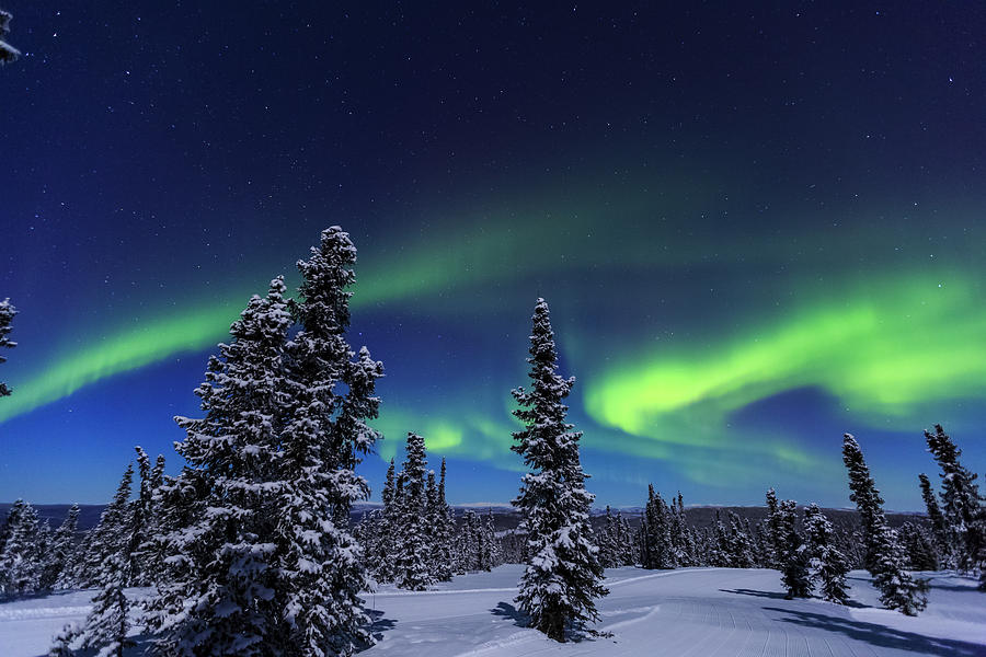 Winter Photograph - Aurora Borealis, Northern Lights #25 by Stuart Westmorland