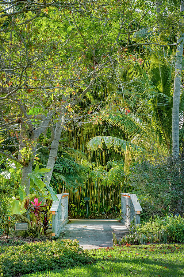 Botanic Garden, West Palm Beach, Fl #25 Digital Art by Laura Zeid