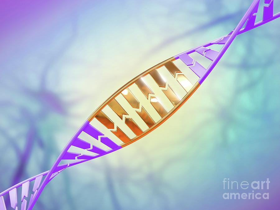 Dna Editing #25 Photograph by Maurizio De Angelis/science Photo Library