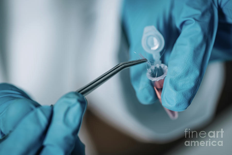 Forensics Expert Examining Crime Scene Evidence Photograph By Microgen Images Science Photo