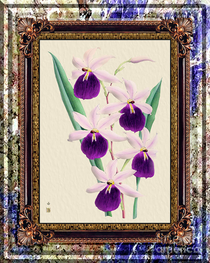Vintage Orchid Antique Design Marble Purple Painting
