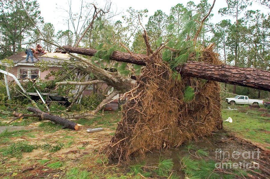 Hurricane Damage #26 Photograph by Science Photo Library Hurricane Damage #26 Photograph by Science Photo Library