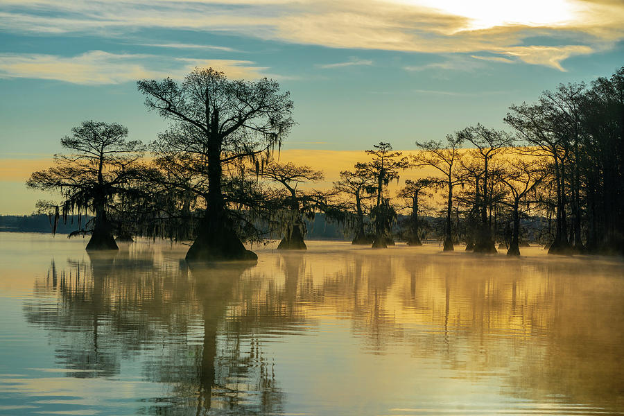 Atchafalaya Basin, Louisiana #27 Photograph by Michael Lustbader Atchafalaya Basin, Louisiana #27 Photograph by Michael Lustbader
