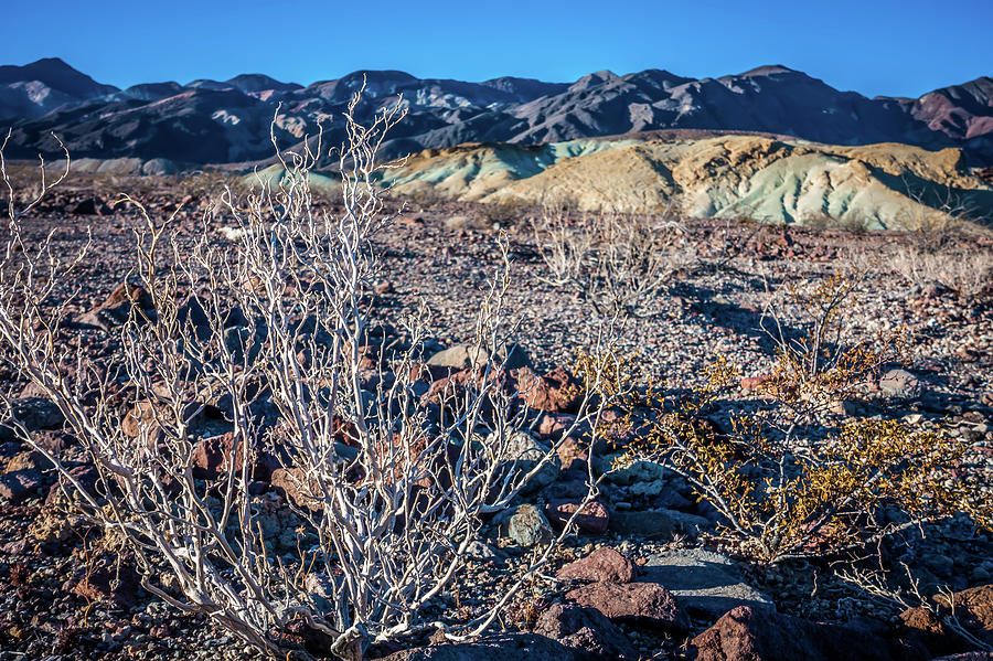 Death Valley National Park Scenes In California #27 Photograph by Alex Grichenko