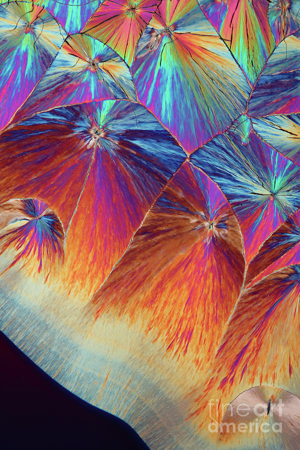 Dopamine Crystals #27 Photograph by Karl Gaff / Science Photo Library