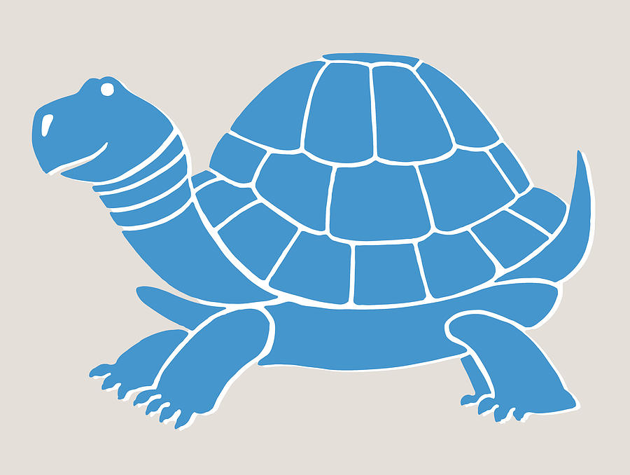 Turtle Drawing - Turtle #27 by CSA Images