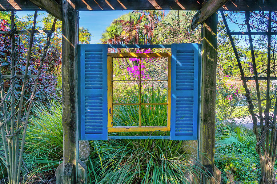 Botanic Garden, West Palm Beach, Fl #28 Digital Art by Laura Zeid