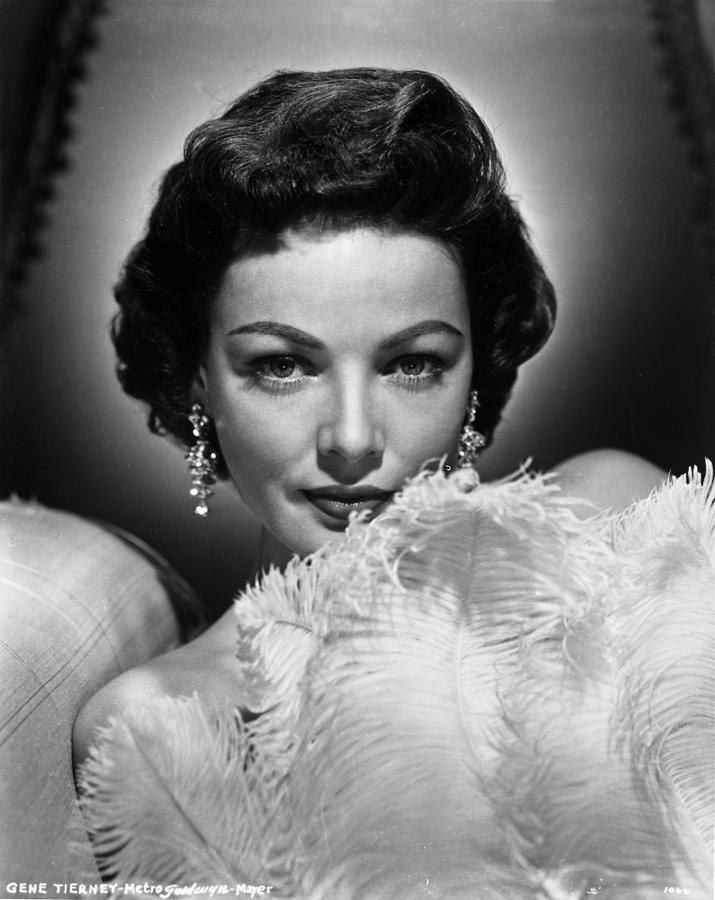 Gene Tierney Photograph by Movie Star News - Fine Art America