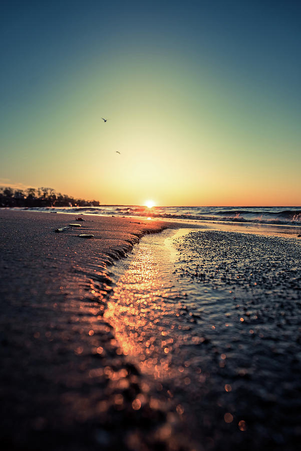 Lake Erie Sunset #28 Photograph by Dave Niedbala