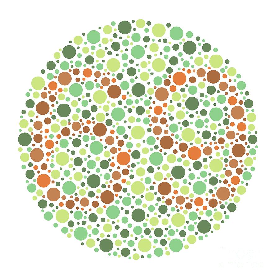 Colour Blindness Test Chart Photograph by Chongqing Tumi Technology Ltd ...