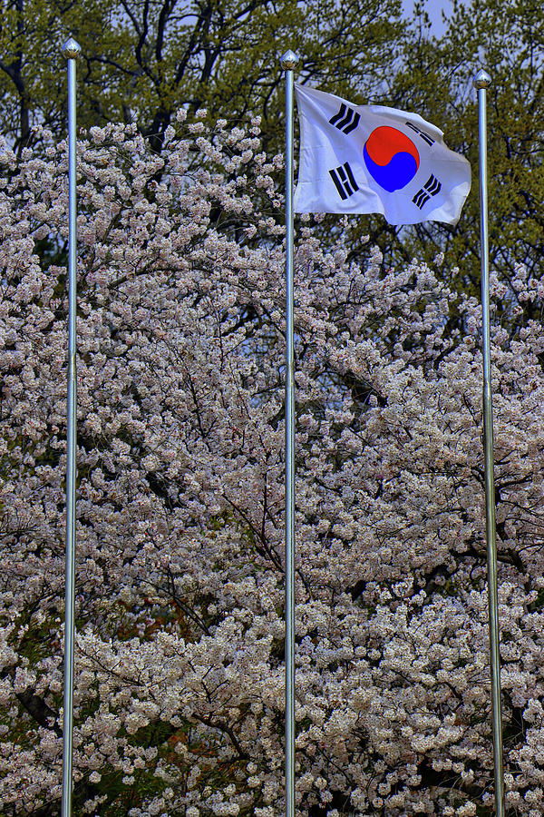 Busan South Korea #29 Photograph by Paul James Bannerman