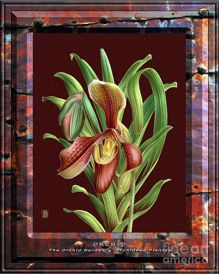 Classic Vintage Orchid And Hyper-realism Painting Of Rusted Metal Mixed Media