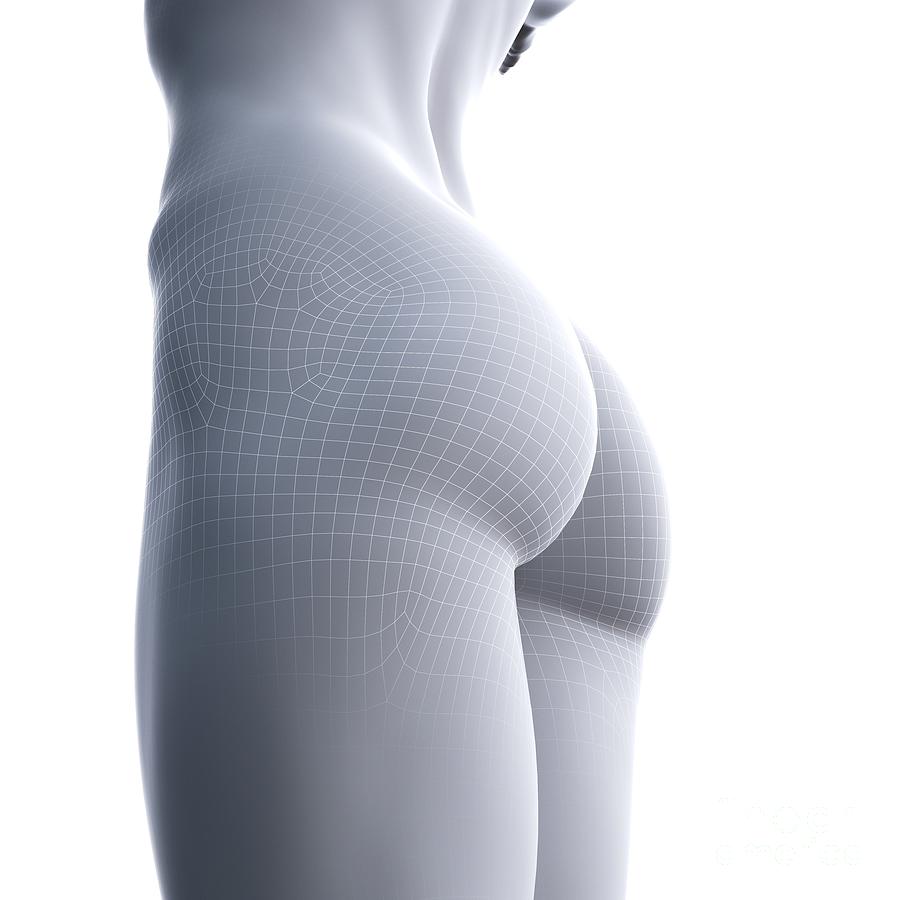 Female Buttocks #29 Photograph by Sebastian Kaulitzki/science Photo Library  - Pixels