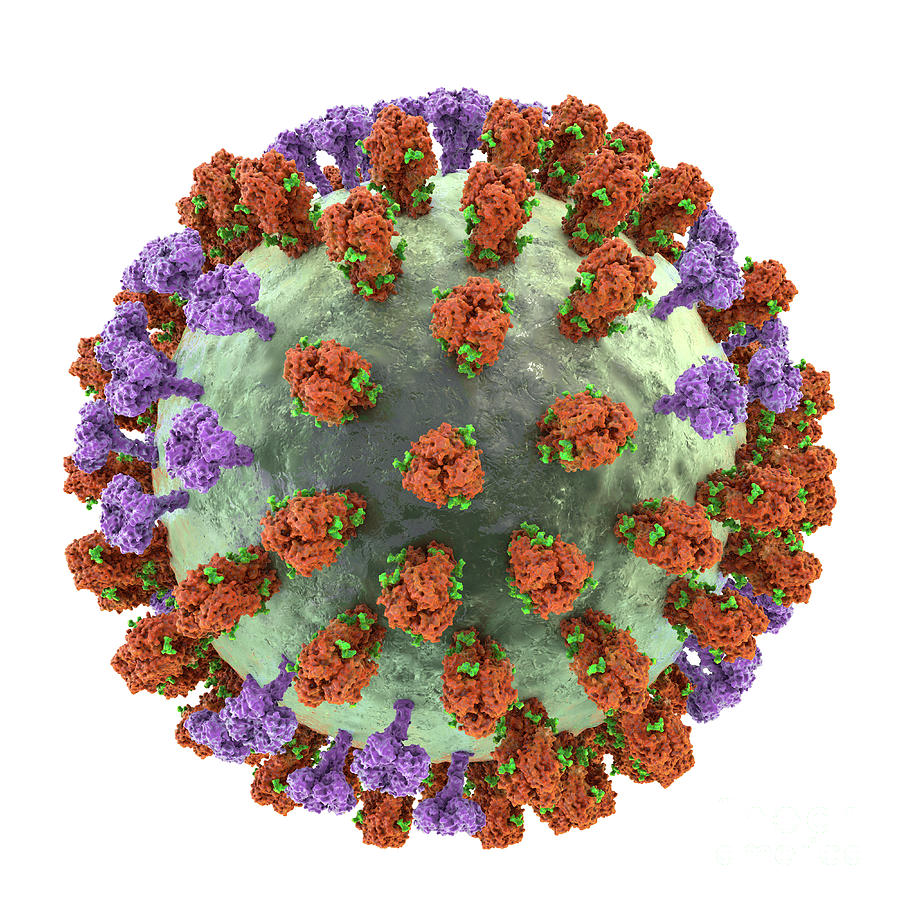 Flu Virus Photograph By Kateryna Kon/science Photo Library - Fine Art ...