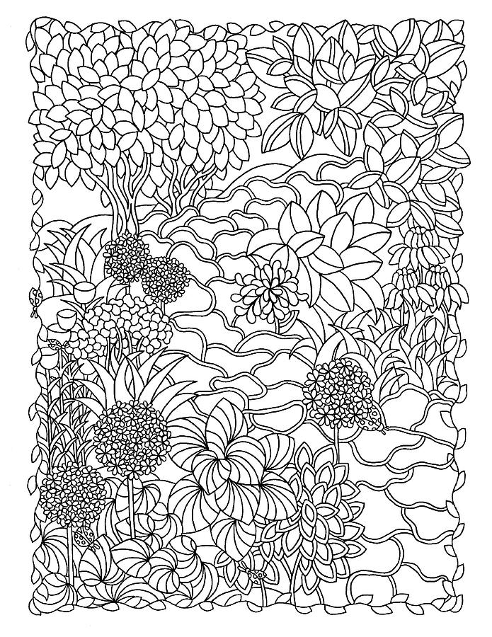 Flower Drawing - 29 Hostas Garden by Kathy G. Ahrens