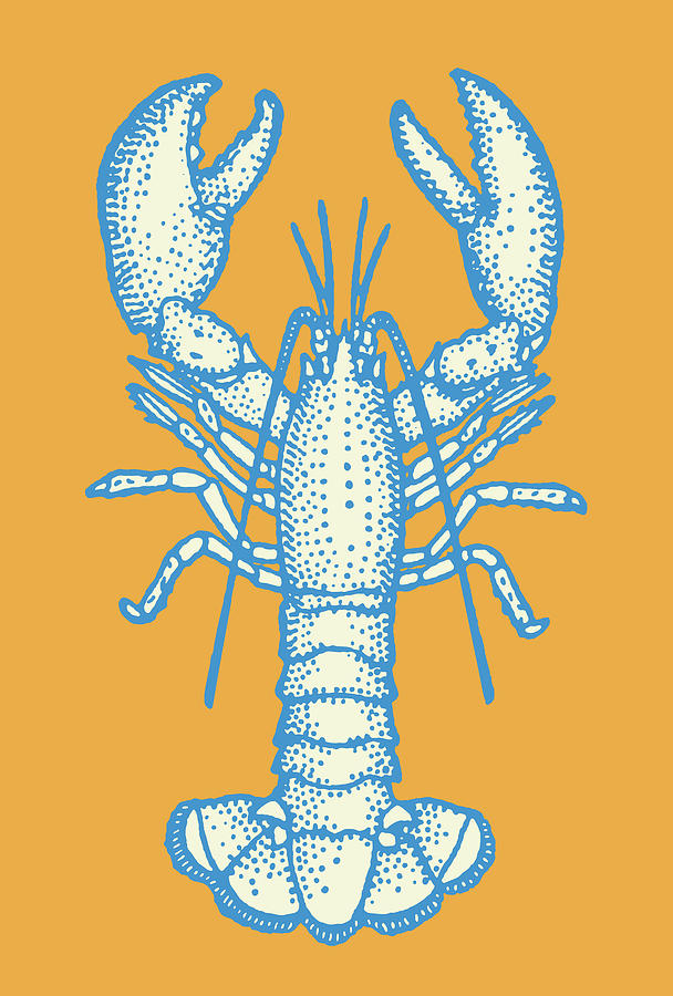 Vintage Drawing - Lobster #29 by CSA Images