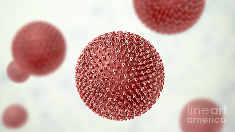 3 Dimensional Photograph - Measles Virus by Kateryna Kon/science Photo Library 3 Dimensional Photograph - Measles Virus by Kateryna Kon/science Photo Library