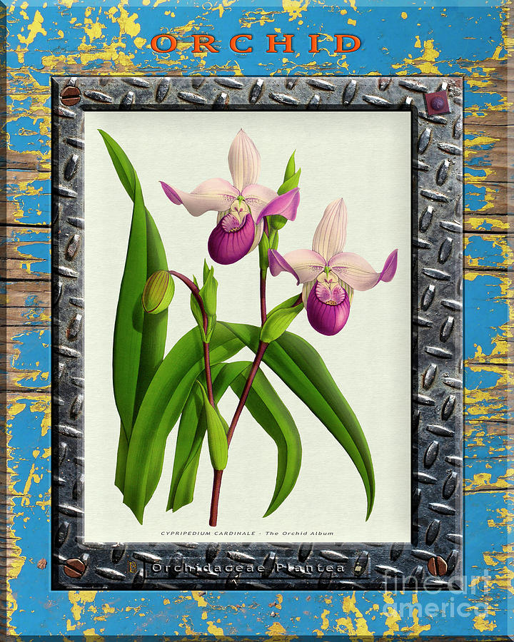 Orchid Framed on Weathered Plank and Rusty Metal Digital Art by ...