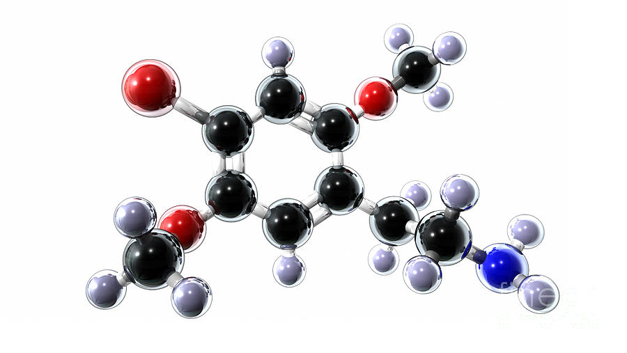 2c-b Psychedelic Drug Molecule by Animate4.com/science Photo Library