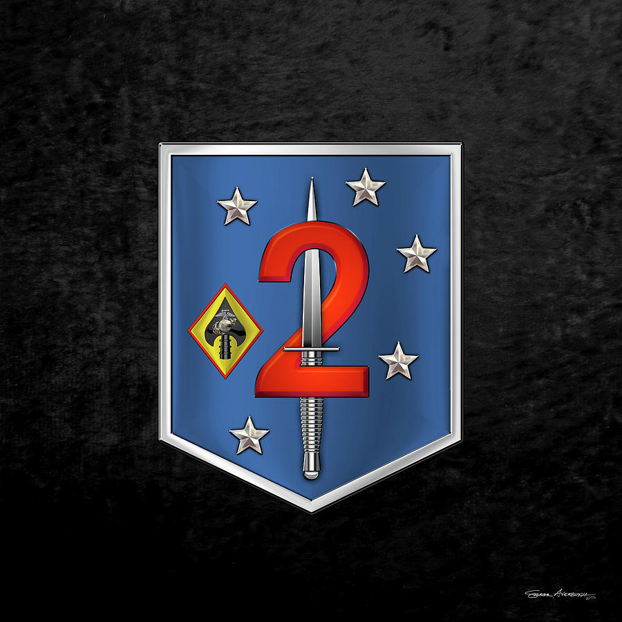 2d Marine Raider Support Battalion  -  2d  M R S B  Patch over Black Velvet Digital Art by Serge Averbukh
