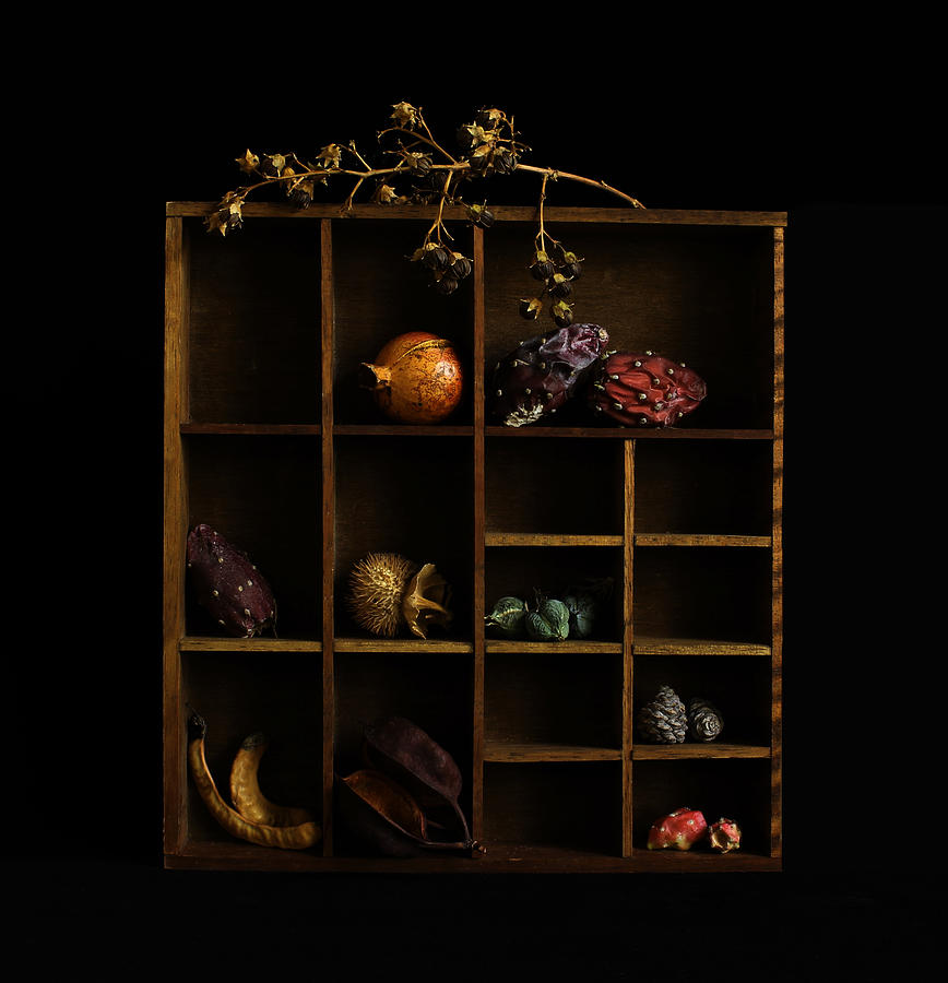 Still Life Photograph -  #3 by Margaret Halaby
