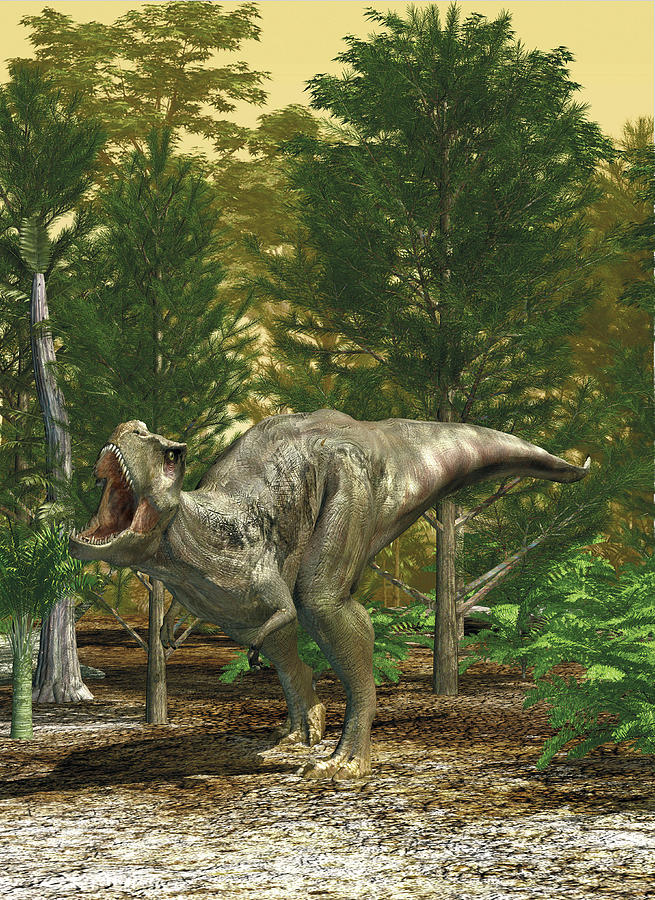 3d Illustration Of A T-rex Dinosaur Photograph by Leonello Calvetti