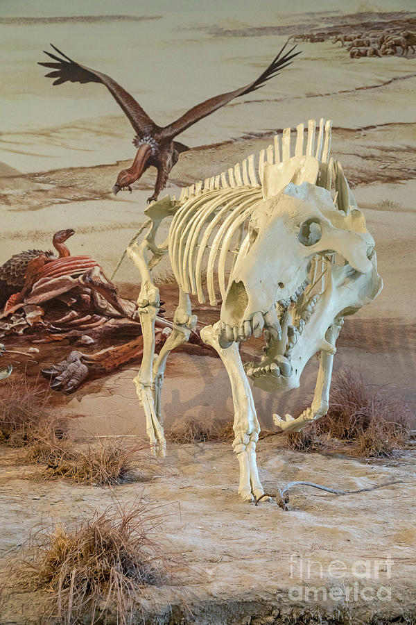 Agate Fossil Beds National Monument by Jim West/science Photo Library