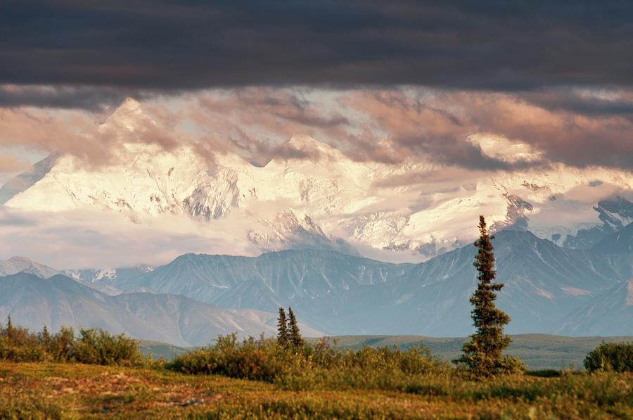 Alaska Range With Mt Brooks by John Elk