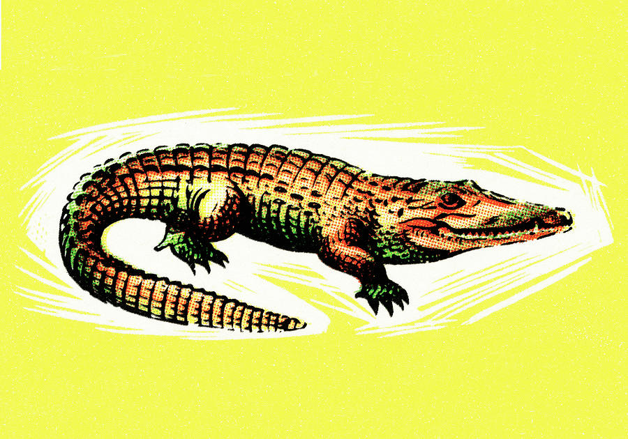 Alligator Drawing - Alligator #3 by CSA Images