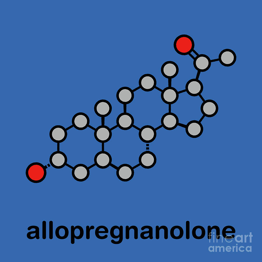 Allopregnanolone Drug Molecule Photograph by Molekuul/science Photo ...