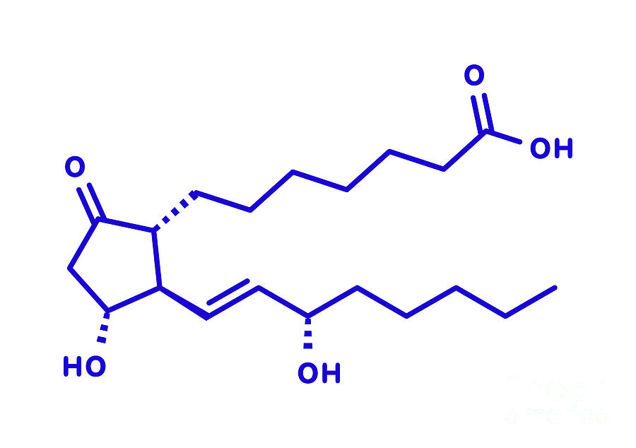 E1 Photograph - Alprostadil Erectile Dysfunction Drug #3 by Molekuul/science Photo Library