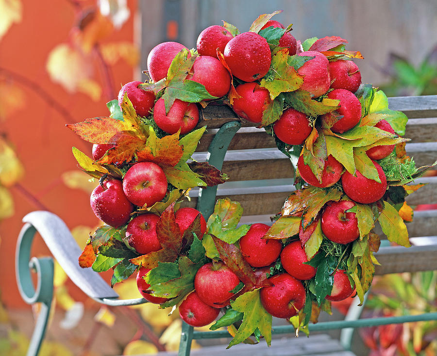 Apples And Sweet Leaves Wreath #3 Photograph by Friedrich Strauss
