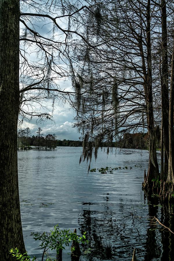 Water Photograph - Around The Park by Ric Schafer Water Photograph - Around The Park by Ric Schafer