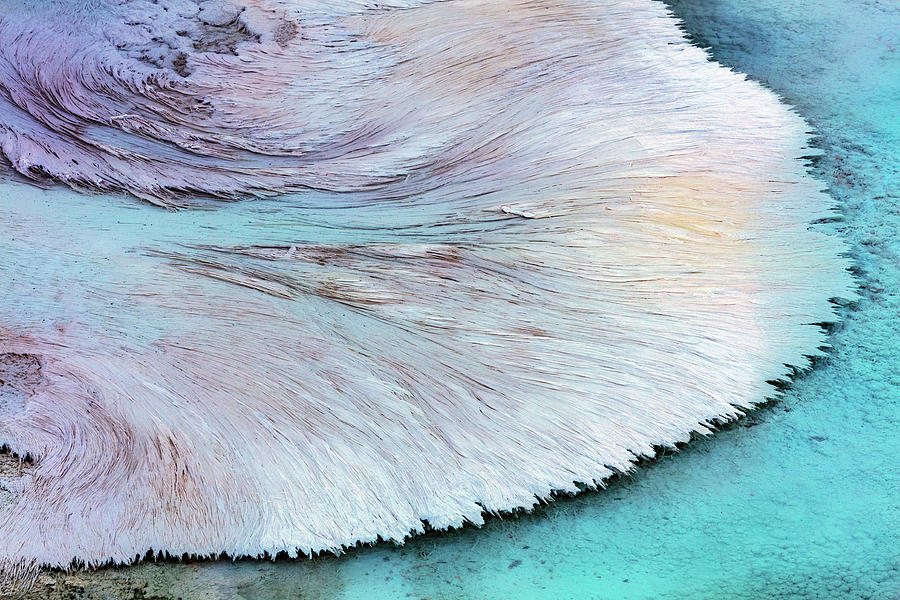 Mammoth Hot Springs Photograph - Artistic Patterns At New Blue Spring 3 by Chuck Haney Mammoth Hot Springs Photograph - Artistic Patterns At New Blue Spring 3 by Chuck Haney