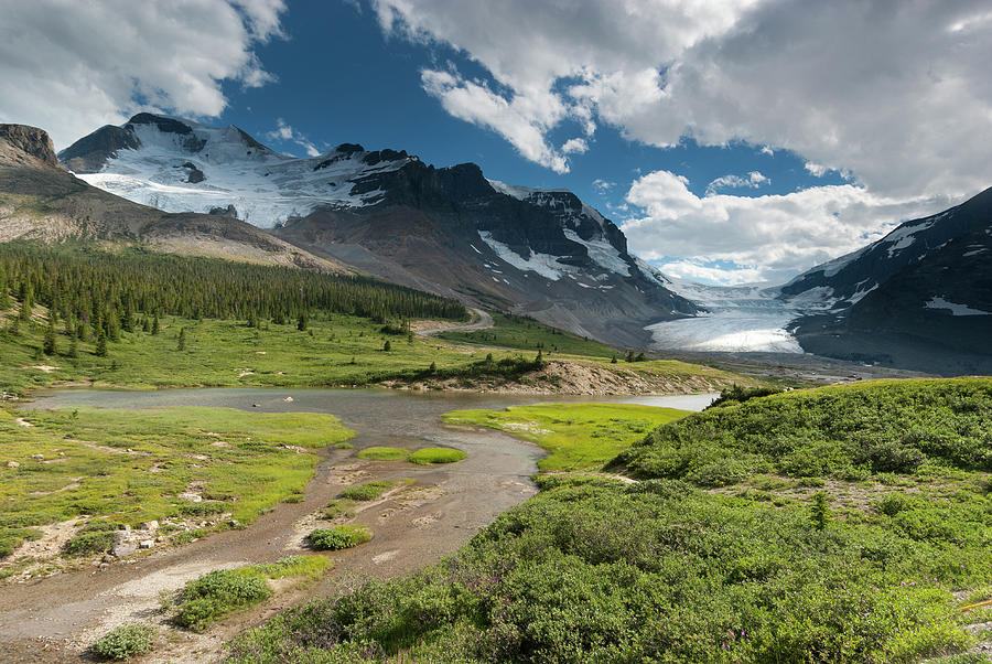 Athabasca Glacier #3 Photograph by John Elk Iii
