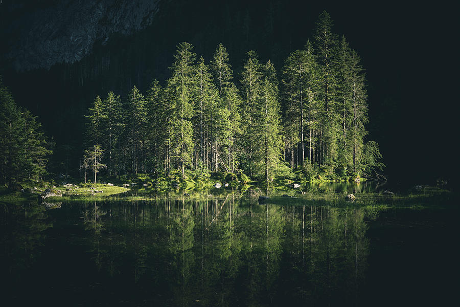 Atmospheric Mountain Lake gosaulacke With Conifers On The Shore. #3 Photograph by Franz Subauer