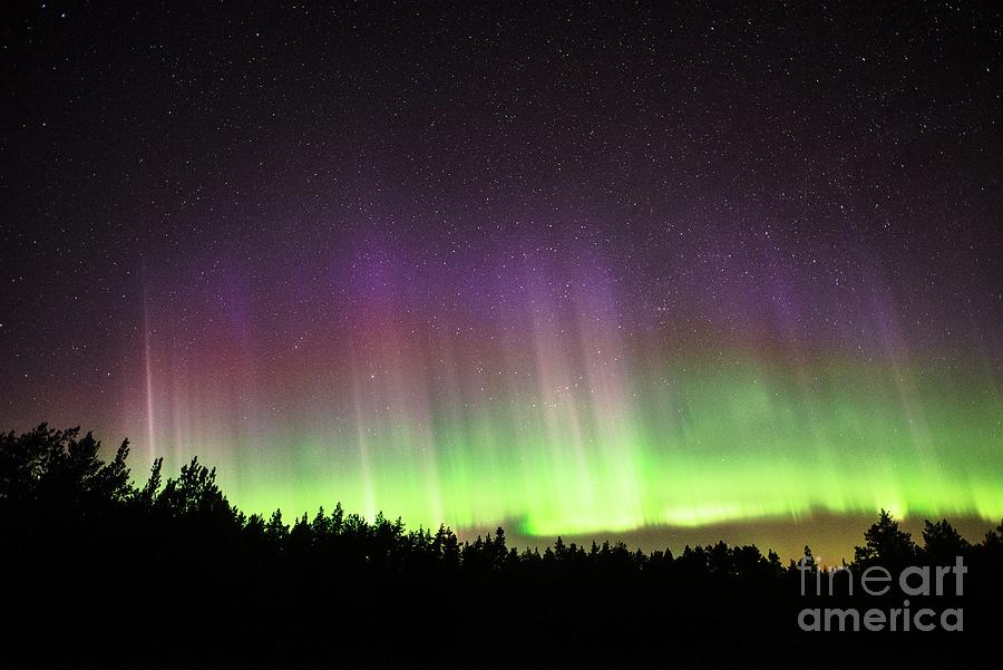 Aurora Borealis Over Finland #3 Photograph by Pekka Parviainen/science Photo Library