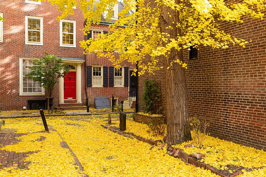 Tree Photograph - Autumn Alleyway In A Traditional #3 by Sean Pavone