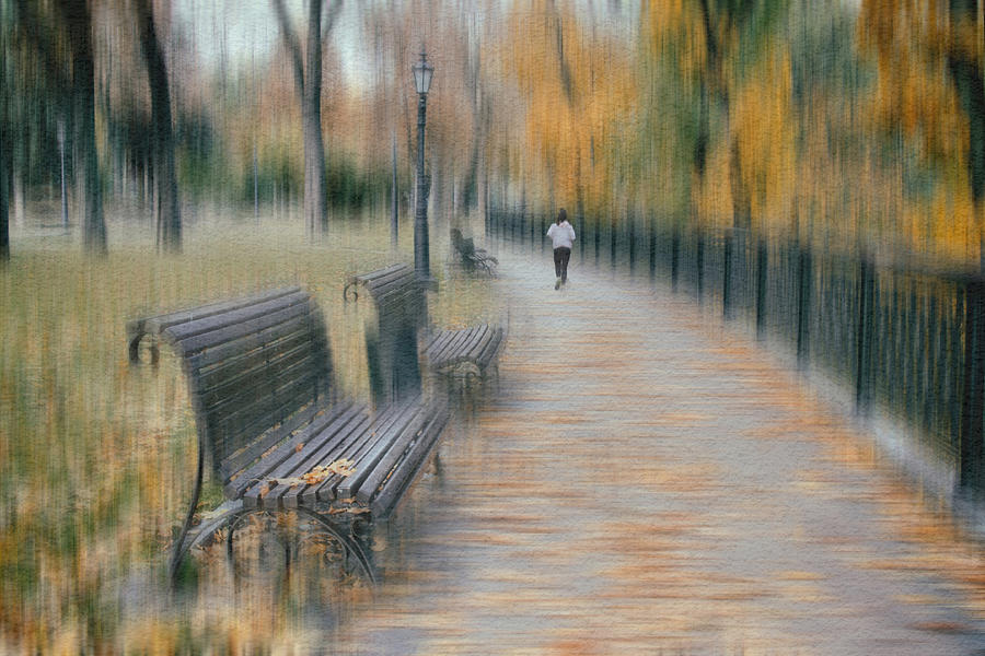 Fall Photograph - Autumn Park #3 by Alexander Kiyashko