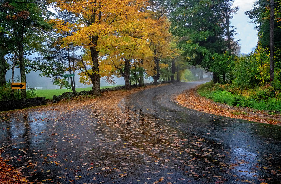 Autumn Road #3 Photograph by Tom Singleton