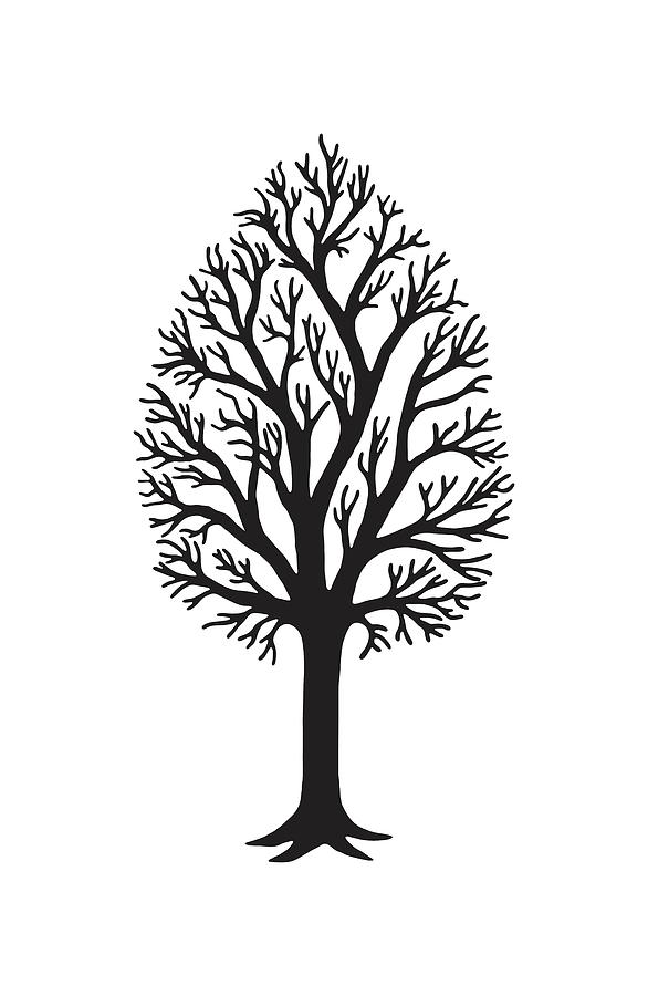 Bare Tree Drawing By Csa Images 