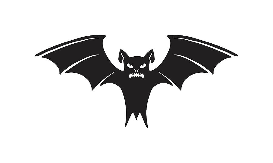 Bat Drawing by CSA Images - Pixels