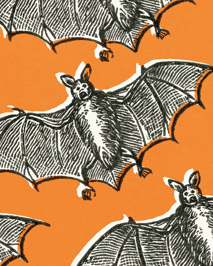 Halloween Drawing - Bats #3 by CSA Images