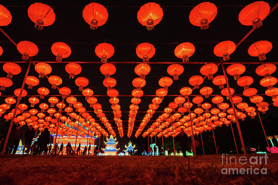Beautiful Colorful Lantern Of Moonlight Forest Festival Photograph