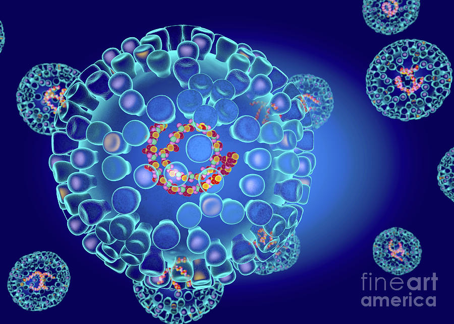 Bluetongue Virus Structure Photograph By Roger Harrisscience Photo Library Pixels 