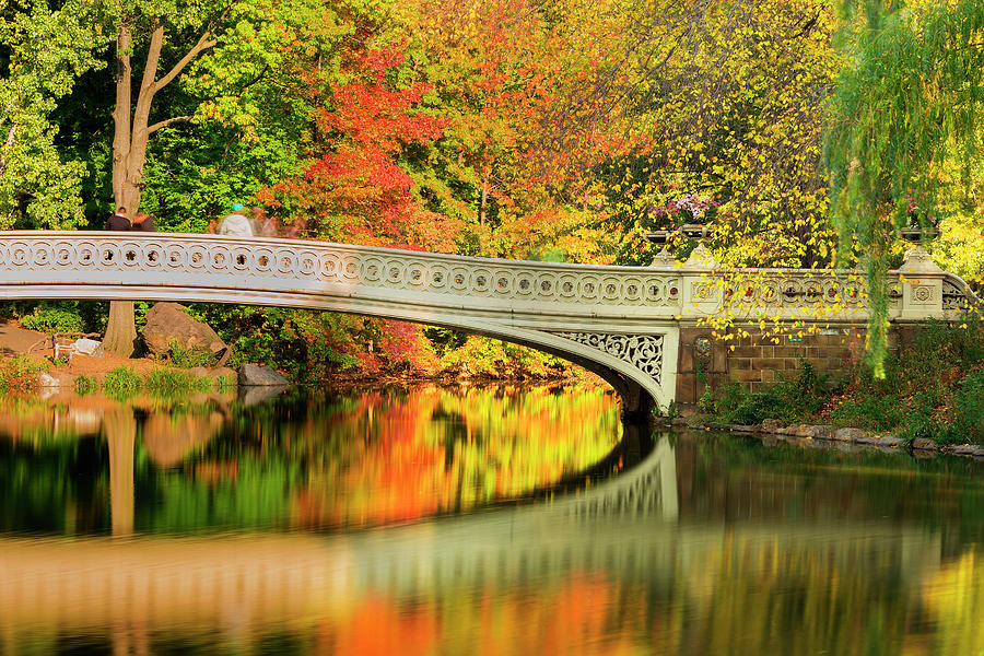 Bow Bridge In Central Park, Nyc #3 Digital Art by Pietro Canali