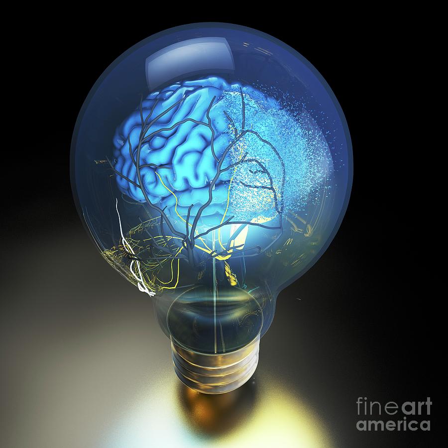 Brain Power And Light Bulb Photograph by Ella Maru Studio/science Photo ...