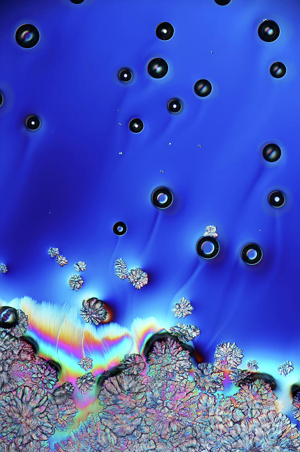 Bubbles In Sucrose And Zinc Sulphate #3 Photograph by Karl Gaff / Science Photo Library