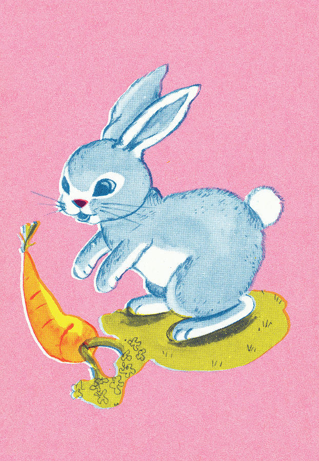 Carrot Drawing - Bunny rabbit #3 by CSA Images